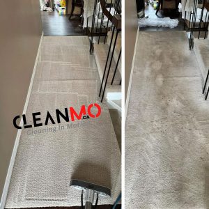 clean-mo-15