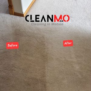 clean-mo-slider7